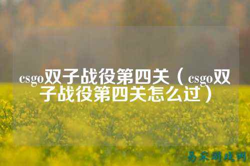 csgo双子战役第四关(csgo双子战役第四关怎么过)