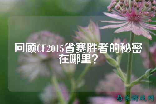 回顾CF2015省赛胜者的秘密在哪里?