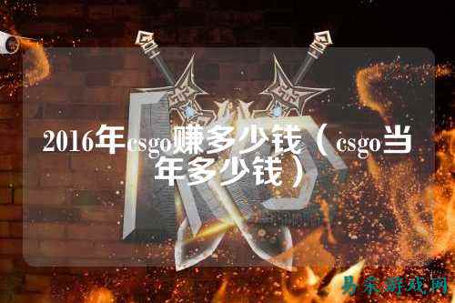 2016年csgo赚多少钱(csgo当年多少钱)