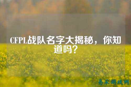 CFPL战队名字大揭秘，你知道吗？
