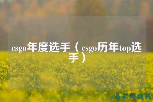 csgo年度选手（csgo历年top选手）