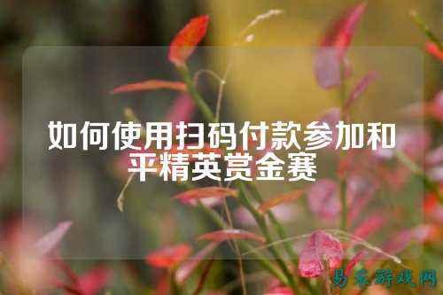 如何使用扫码付款参加和平精英赏金赛