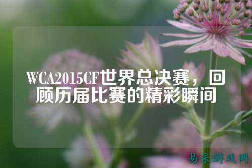 WCA2015CF世界总决赛,回顾历届比赛的精彩瞬间