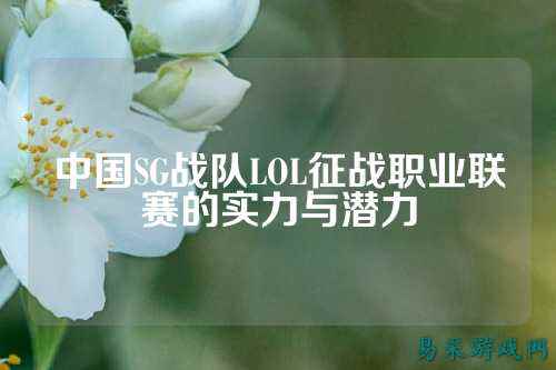 中国SG战队LOL征战职业联赛的实力与潜力