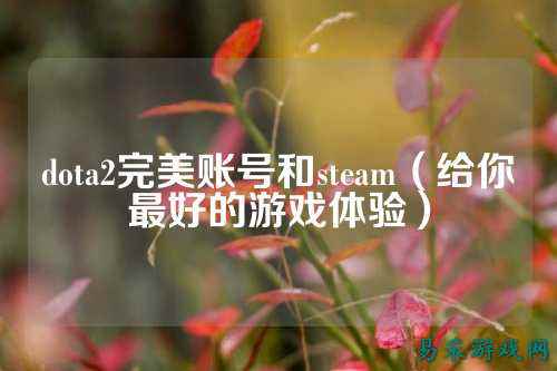 dota2完美账号和steam（给你最好的游戏体验）