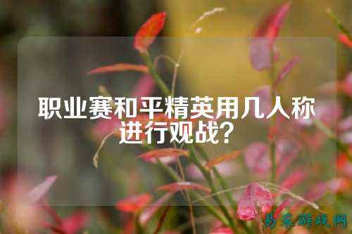 职业赛和平精英用几人称进行观战?