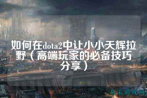 如何在dota2中让小小天辉拉野(高端玩家的必备技巧分享)