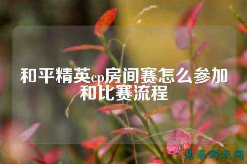 和平精英cp房间赛怎么参加和比赛流程