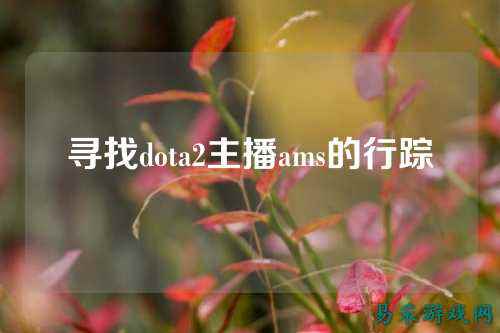 寻找dota2主播ams的行踪