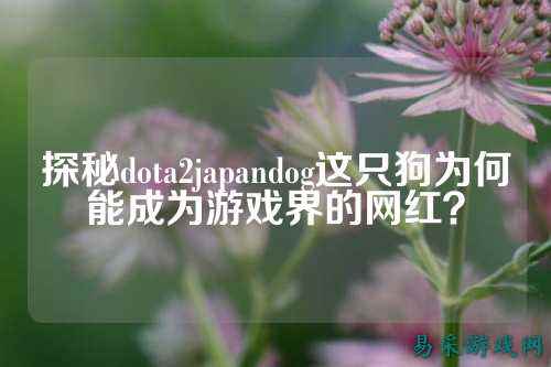 探秘dota2japandog这只狗为何能成为游戏界的网红?