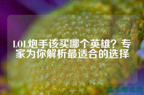 LOL炮手该买哪个英雄?专家为你解析最适合的选择