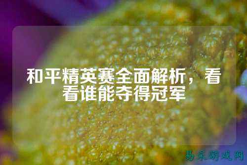 和平精英赛全面解析,看看谁能夺得冠军