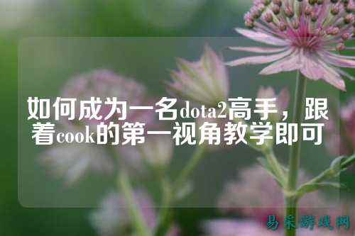 如何成为一名dota2高手,跟着cook的第一视角教学即可