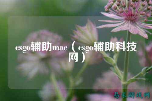 csgo辅助mac(csgo辅助科技网)
