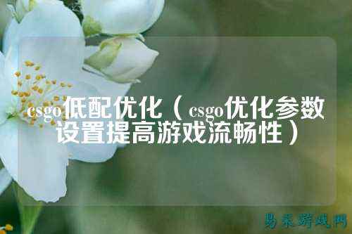csgo低配优化(csgo优化参数设置提高游戏流畅性)