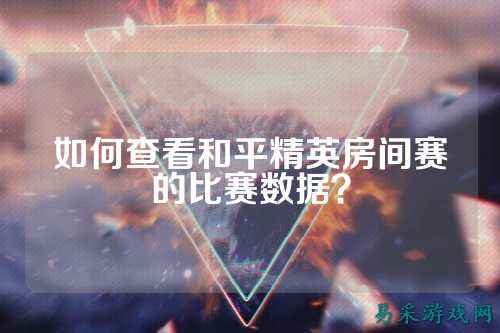 如何查看和平精英房间赛的比赛数据?
