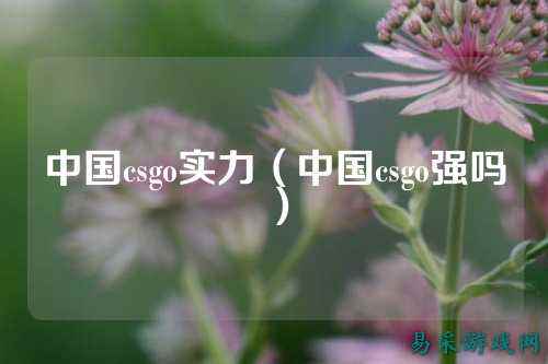 中国csgo实力(中国csgo强吗)
