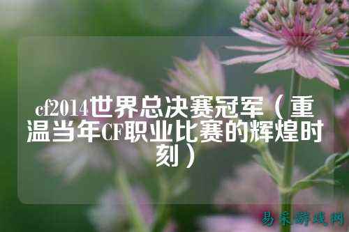 cf2014世界总决赛冠军(重温当年CF职业比赛的辉煌时刻)