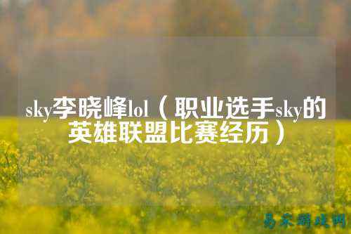 sky李晓峰lol(职业选手sky的英雄联盟比赛经历)