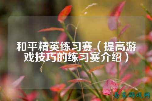 和平精英练习赛(提高游戏技巧的练习赛介绍)