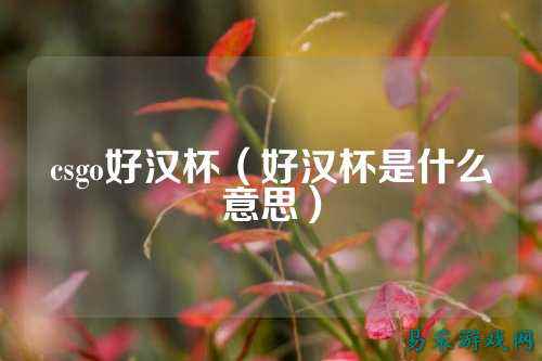 csgo好汉杯(好汉杯是什么意思)