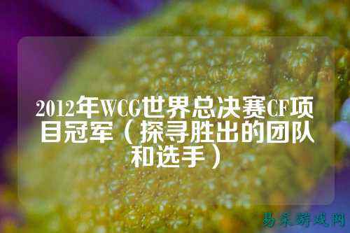 2012年WCG世界总决赛CF项目冠军(探寻胜出的团队和选手)