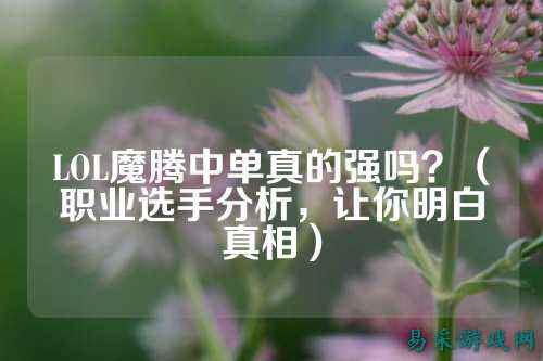 LOL魔腾中单真的强吗？（职业选手分析，让你明白真相）