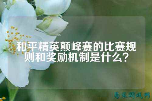 和平精英颠峰赛的比赛规则和奖励机制是什么?