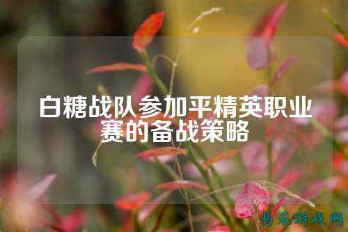 白糖战队参加平精英职业赛的备战策略