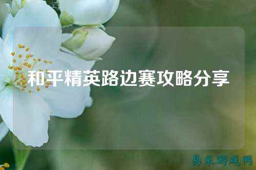 和平精英路边赛攻略分享