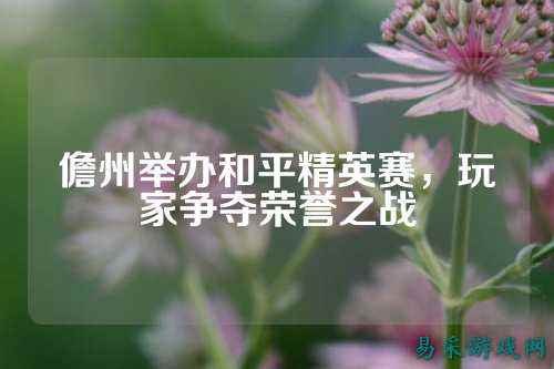 儋州举办和平精英赛,玩家争夺荣誉之战