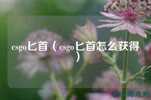 csgo匕首(csgo匕首怎么获得)