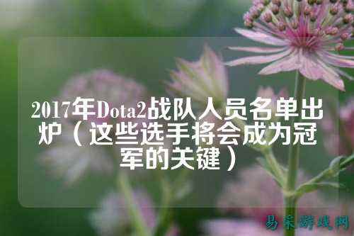 2017年Dota2战队人员名单出炉(这些选手将会成为冠军的关键)