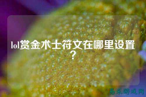 lol赏金术士符文在哪里设置?