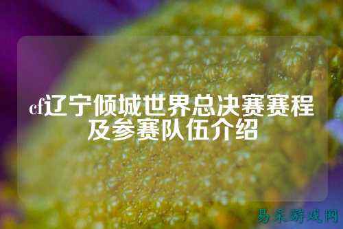 cf辽宁倾城世界总决赛赛程及参赛队伍介绍