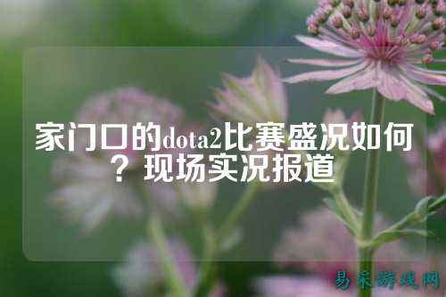 家门口的dota2比赛盛况如何?现场实况报道