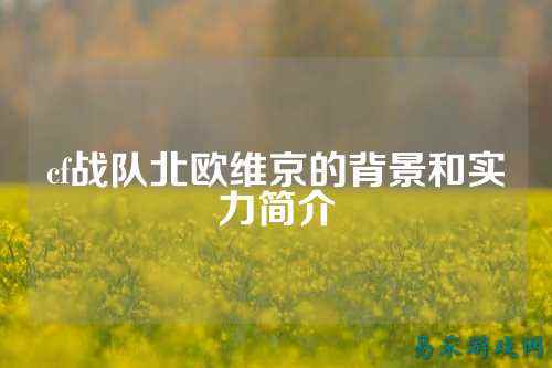 cf战队北欧维京的背景和实力简介