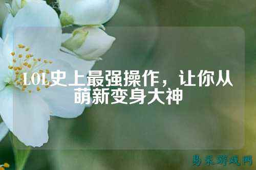 LOL史上最强操作,让你从萌新变身大神