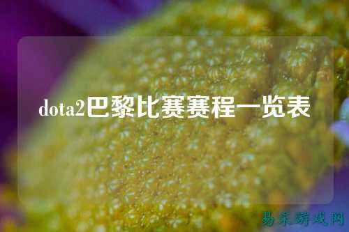 dota2巴黎比赛赛程一览表