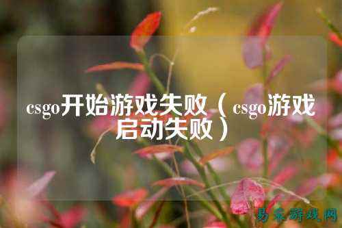csgo开始游戏失败(csgo游戏启动失败)