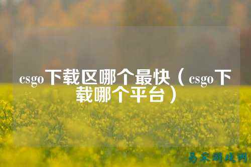 csgo下载区哪个最快（csgo下载哪个平台）