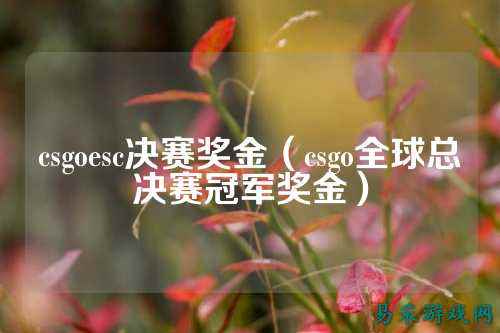 csgoesc决赛奖金（csgo全球总决赛冠军奖金）