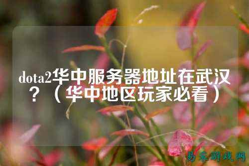 dota2华中服务器地址在武汉？（华中地区玩家必看）