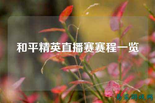 和平精英直播赛赛程一览