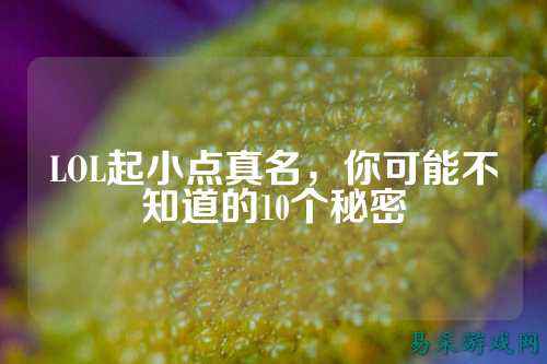 LOL起小点真名，你可能不知道的10个秘密
