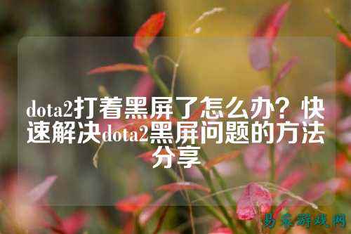 dota2打着黑屏了怎么办？快速解决dota2黑屏问题的方法分享