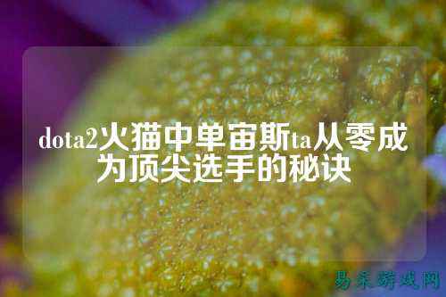 dota2火猫中单宙斯ta从零成为顶尖选手的秘诀