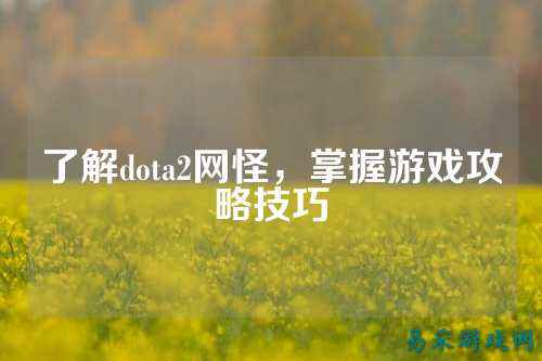 了解dota2网怪，掌握游戏攻略技巧