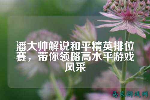 潘大帅解说和平精英排位赛,带你领略高水平游戏风采