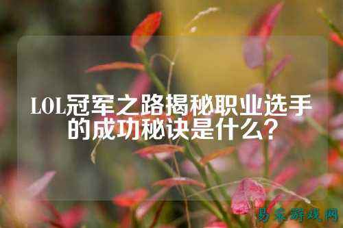 LOL冠军之路揭秘职业选手的成功秘诀是什么？